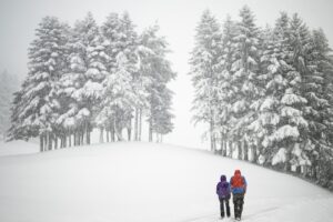 Студ, снег и мраз ја погодија Европа: 34.000 домаќинства без струја во Британија, Франција под портокалов метео-аларм