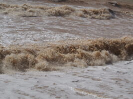 (Видео) Андалузија во вонредна состојба, властите стравуваат од нови поплави