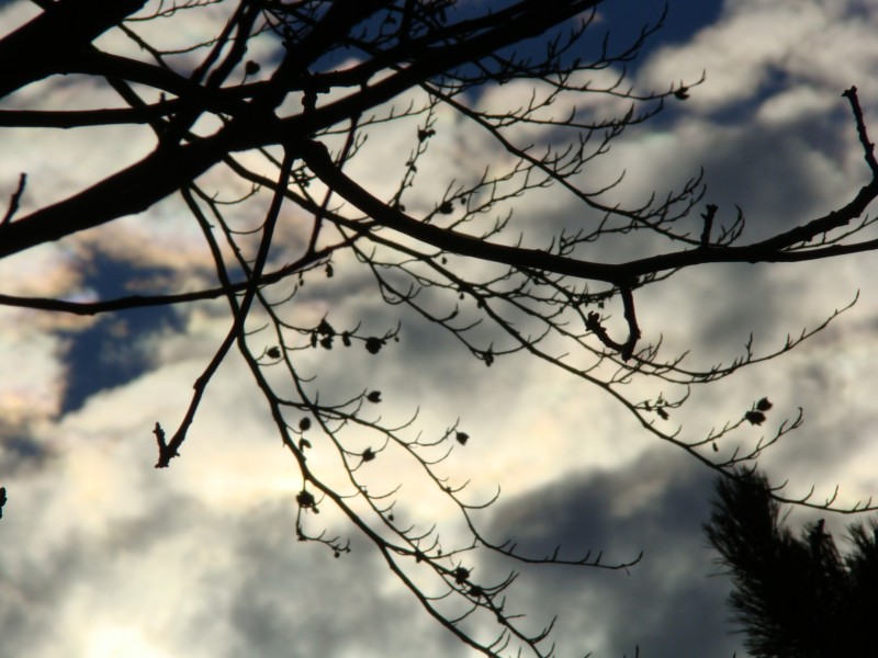 Претежно облачно со услови за повремени врнежи од дожд
