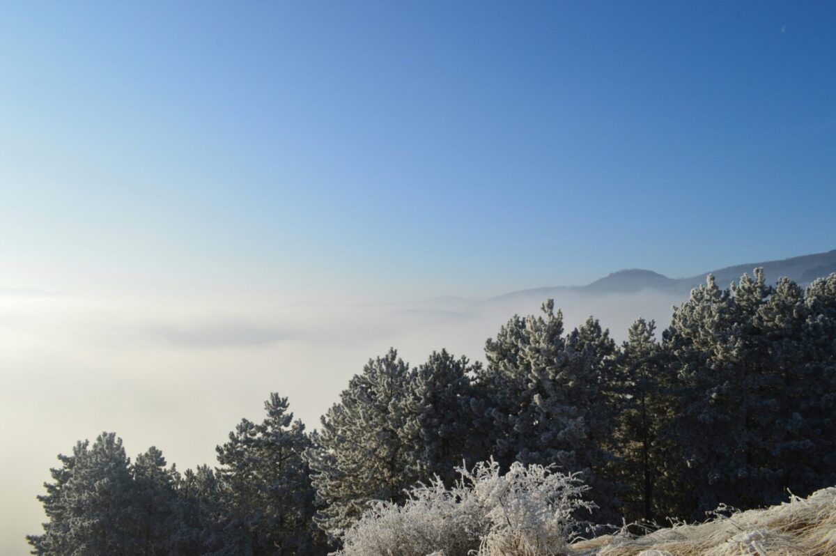 Променливо облачно со сончеви периоди, кон крајот на денот локални врнежи од дожд