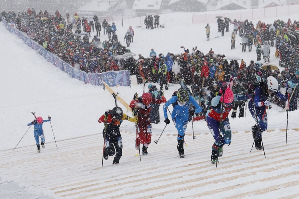 „Скимо“ дебитираше на ЗОИ