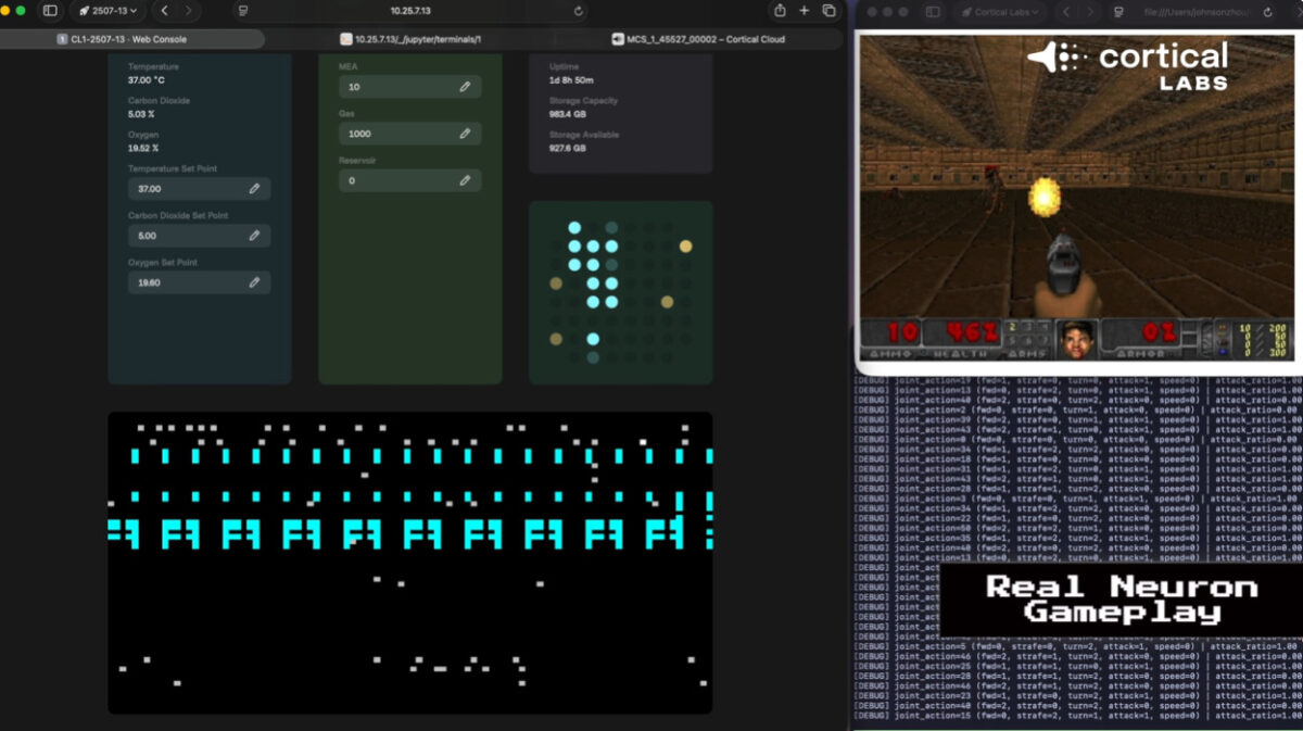 ВИДЕО: Научниците создадоа „жив компјутер без мозок“