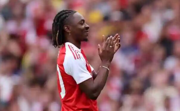 Езе на принудна пауза