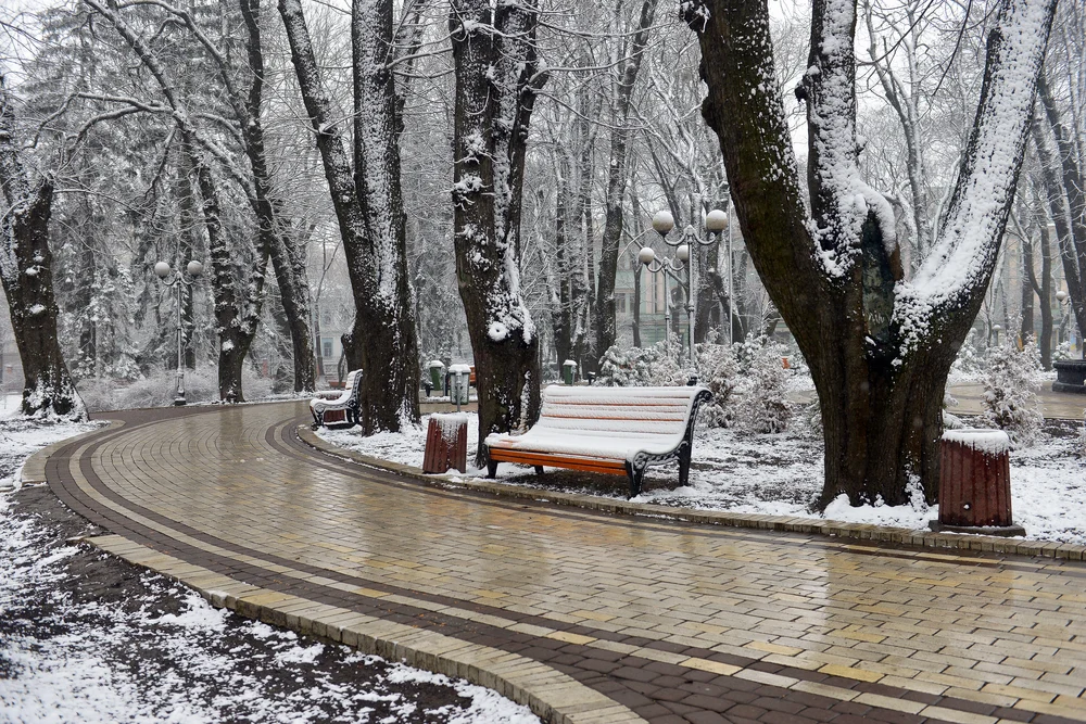 Снег и во БиХ, откажана наставата во училиштата и прекини во електричната енергија