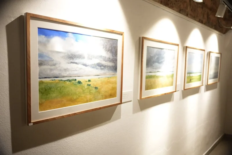 Современа австриска уметност во Чифте амам: Отворена изложбата „Флора – Фауна – Покриви“