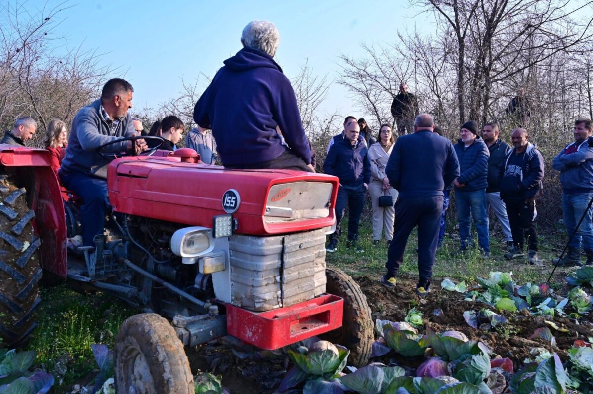 Филипче: Откупната цена на зимската зелка е понижувачка, власта нема слух за земјоделците