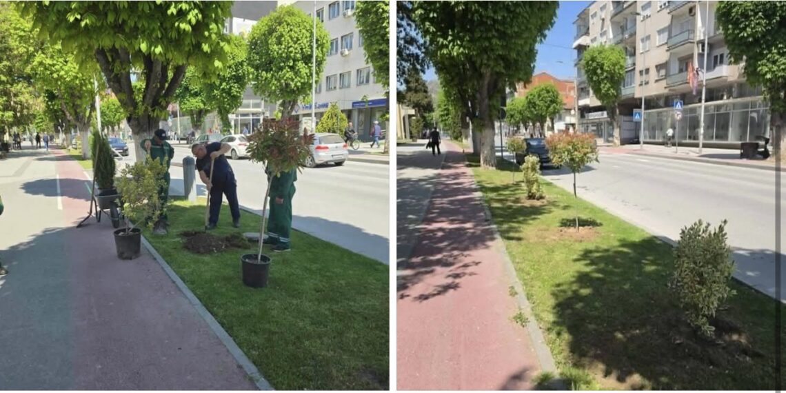 Општина Прилеп со нови активности за подобрување на јавните зелени површини во градот