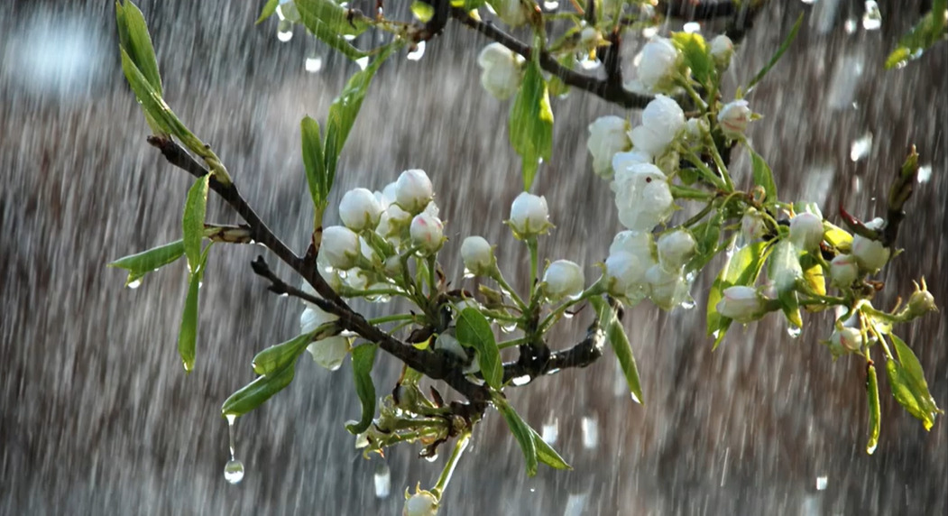 Претежно облачно со врнежи од дожд, наместа пообилни
