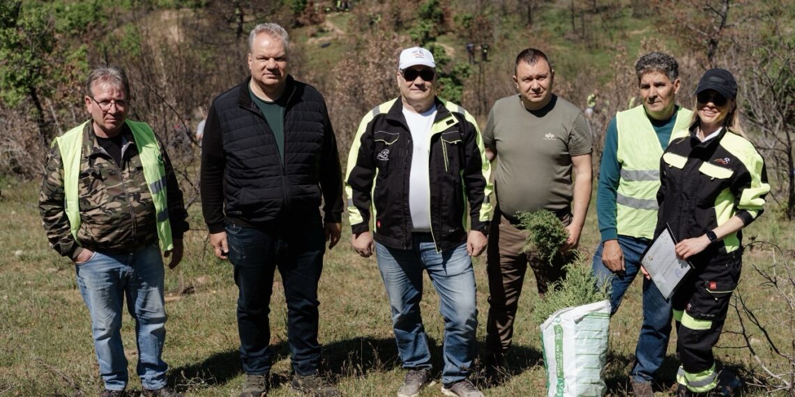 Природата се обновува: Бучим и ЈП Национални шуми засадија 5.000 садници на опожареното подрачје на Готен