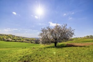 Пролетта конечно ни дојде: Денес не очекува сончево и топло време