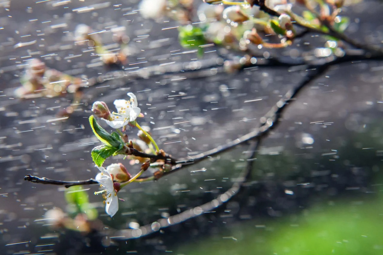 Променливо облачно со повремени локални врнежи од дожд, на планините од дожд и снег