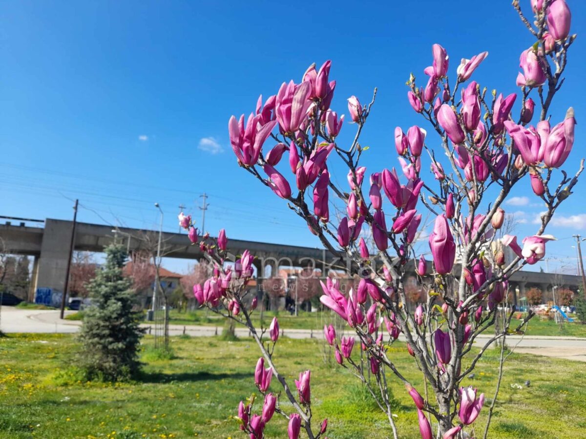 Сончево и потопло време: максималната температура до 21 степен