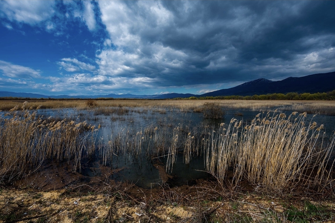 Сончево утро, нестабилно попладне: Утре дожд и грмежи низ Македонија