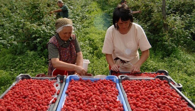 24-годишна скопјанка откри како изгледа работата за 50 евра дневница: „Парите се добри, но ова е вистински кошмар“