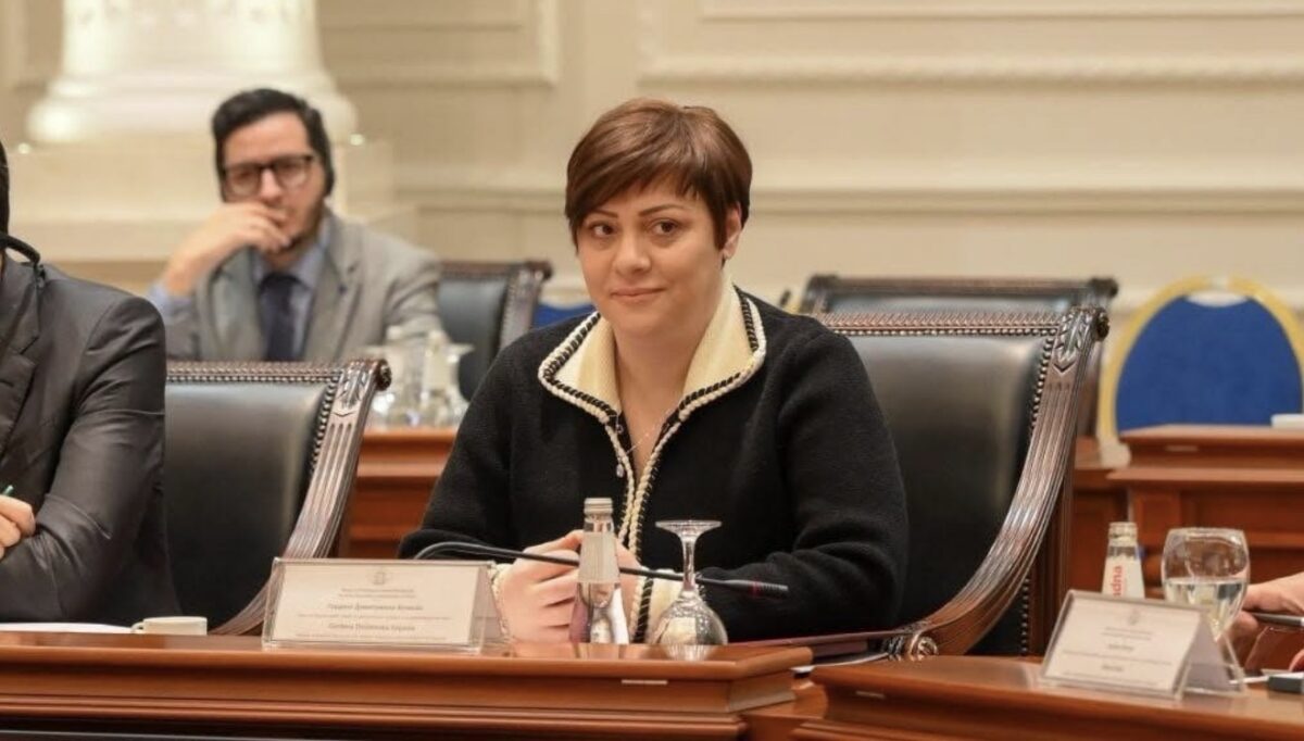 Димитриеска-Кочоска до опозицијата: Јавните настапи треба да се темелат на проверени податоци
