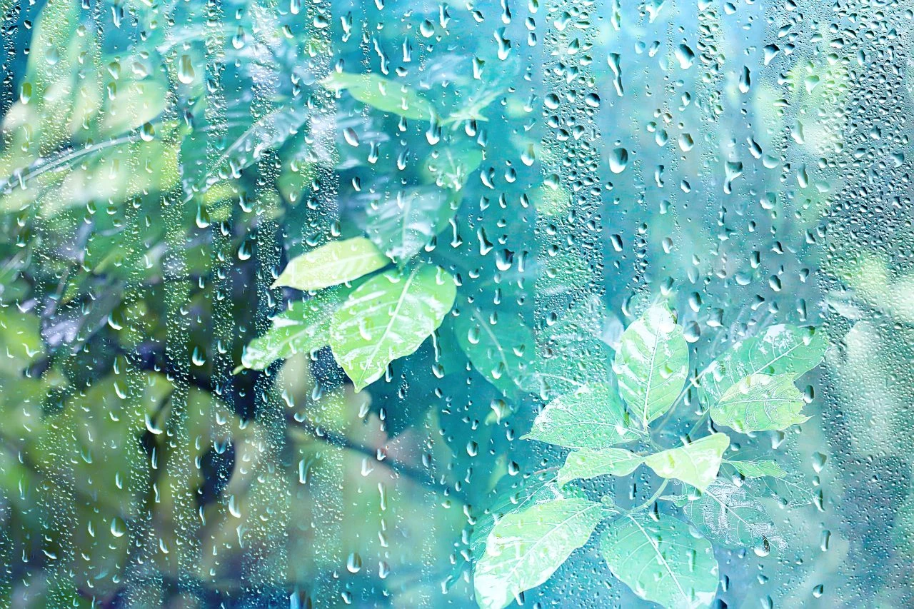 Претпладне променливо облачно, попладне краткотраен пороен дожд, грмежи и засилен ветер