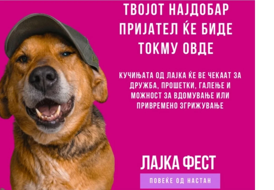 „Лајка-Фест“ во Градски парк: едукација, вдомување и заедништво со животните