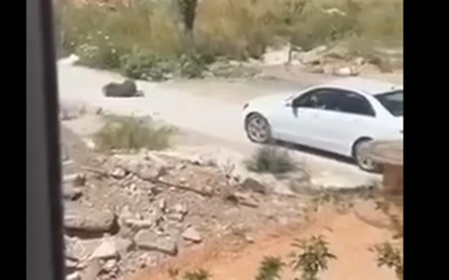 (Видео) Вознемирувачко видео на кое Македонка со автомобил брутално гази куче во Црна Гора