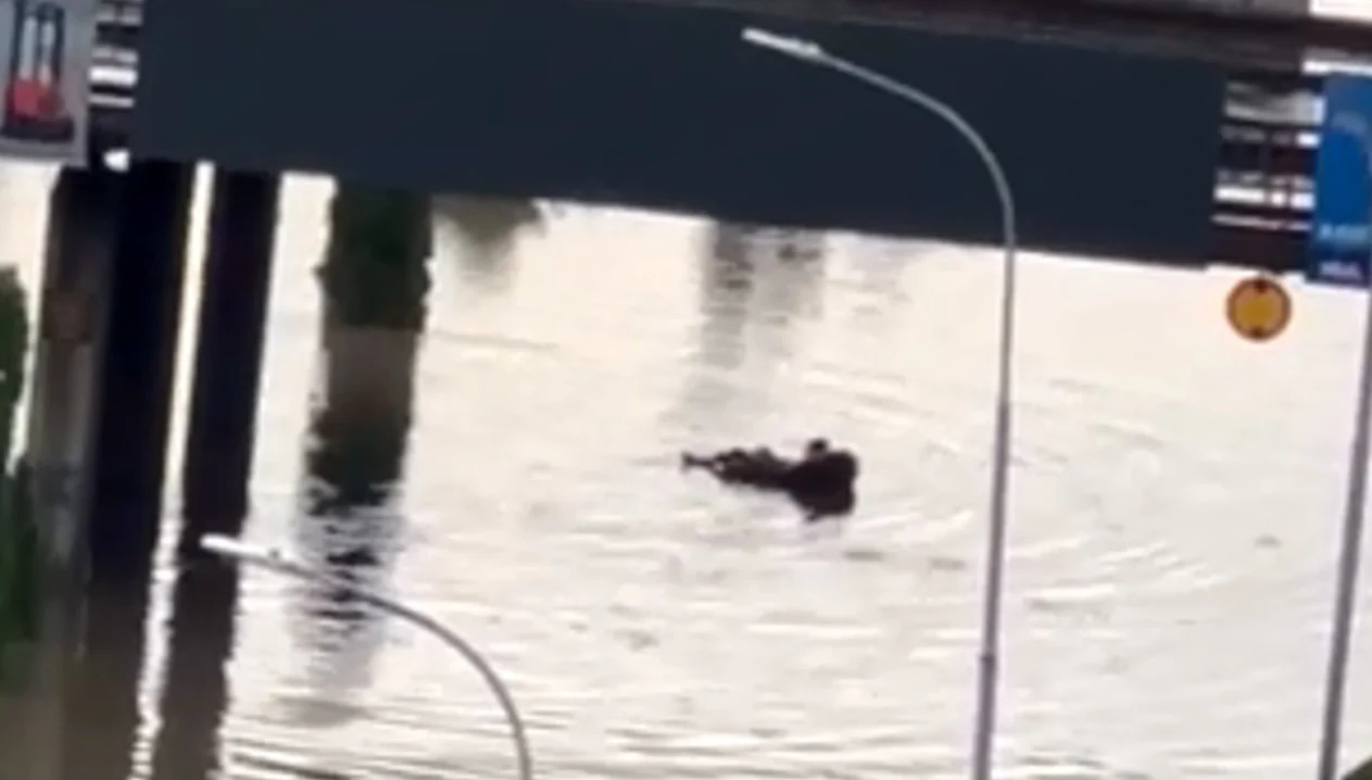 (Видео) Скопјанец ја претвори поплавената улица во „базен“ – пловеше на душек по булевар „Србија“