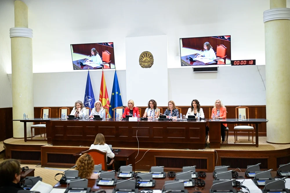 Втора надзорна расправа за заштита од семејно насилство: потребен е систем кој се прилагодува на жртвата, а не жртвата на системот