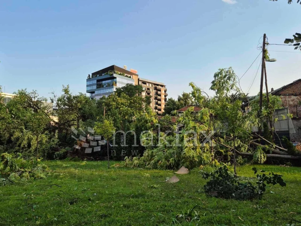 (Фото) Откорнати дрвја, покриви, искинати кабли, непроодни улици по невремето во делови од Скопје