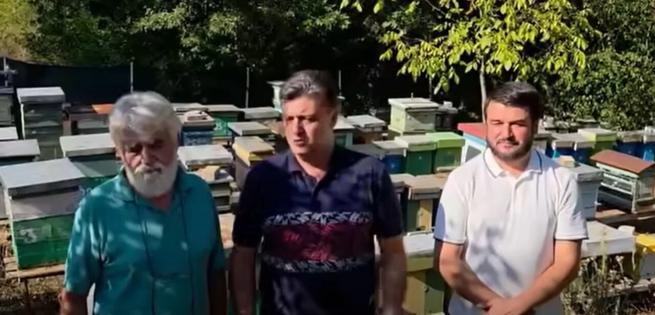 (Видео) Наумоски: ВМРО ОКГ направи пустош во секоја земјоделска гранка, пчеларството пред колапс