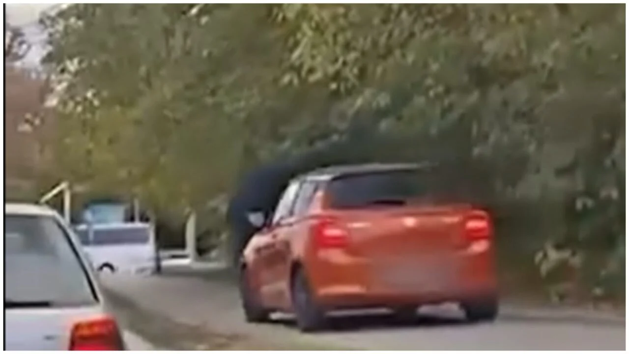 (Видео) Казнет возачот кој возеше автомобил по велосипедска патека во Скопје