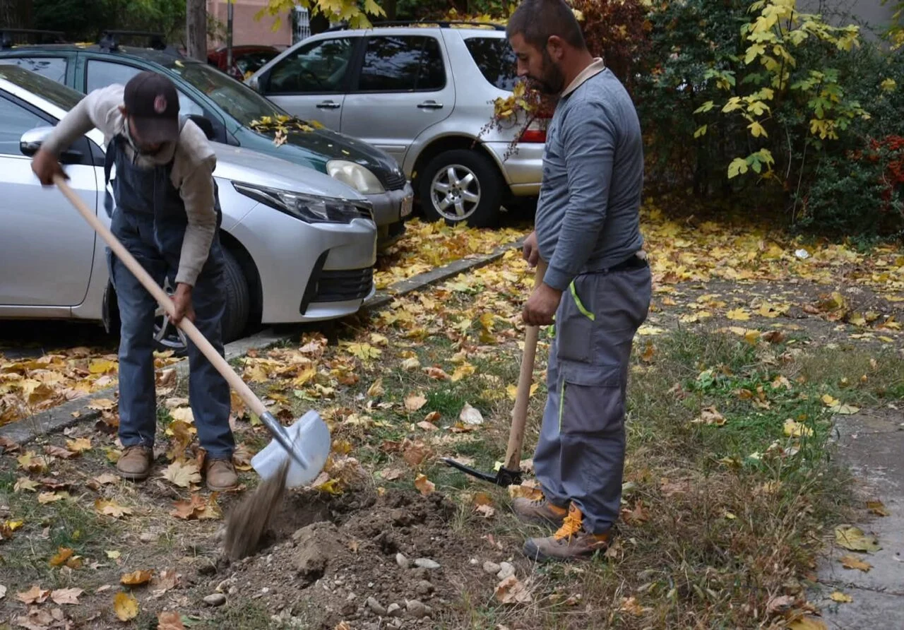 (Фото) Општина Карпош: 180 нови дрвја за почиста и поздрава животна средина